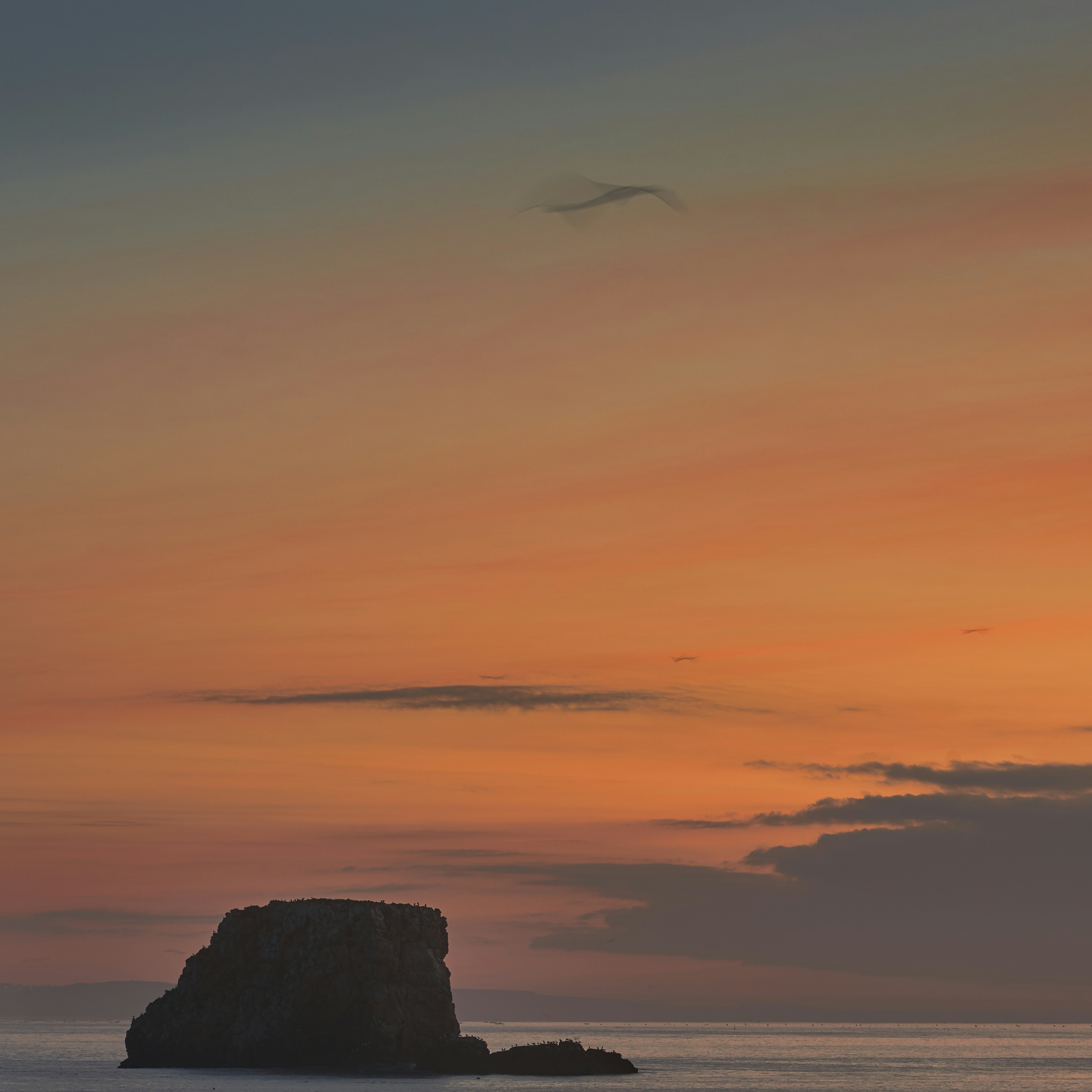 努力活著的人類 - 2024年 正式邁入了17歲的階段

17這個數字 在以前似乎是遙不可及的

但悄然無聲地 用時間抓住了我 提醒我 該長大了

這個夏天 我投身於參加2個營隊 對我