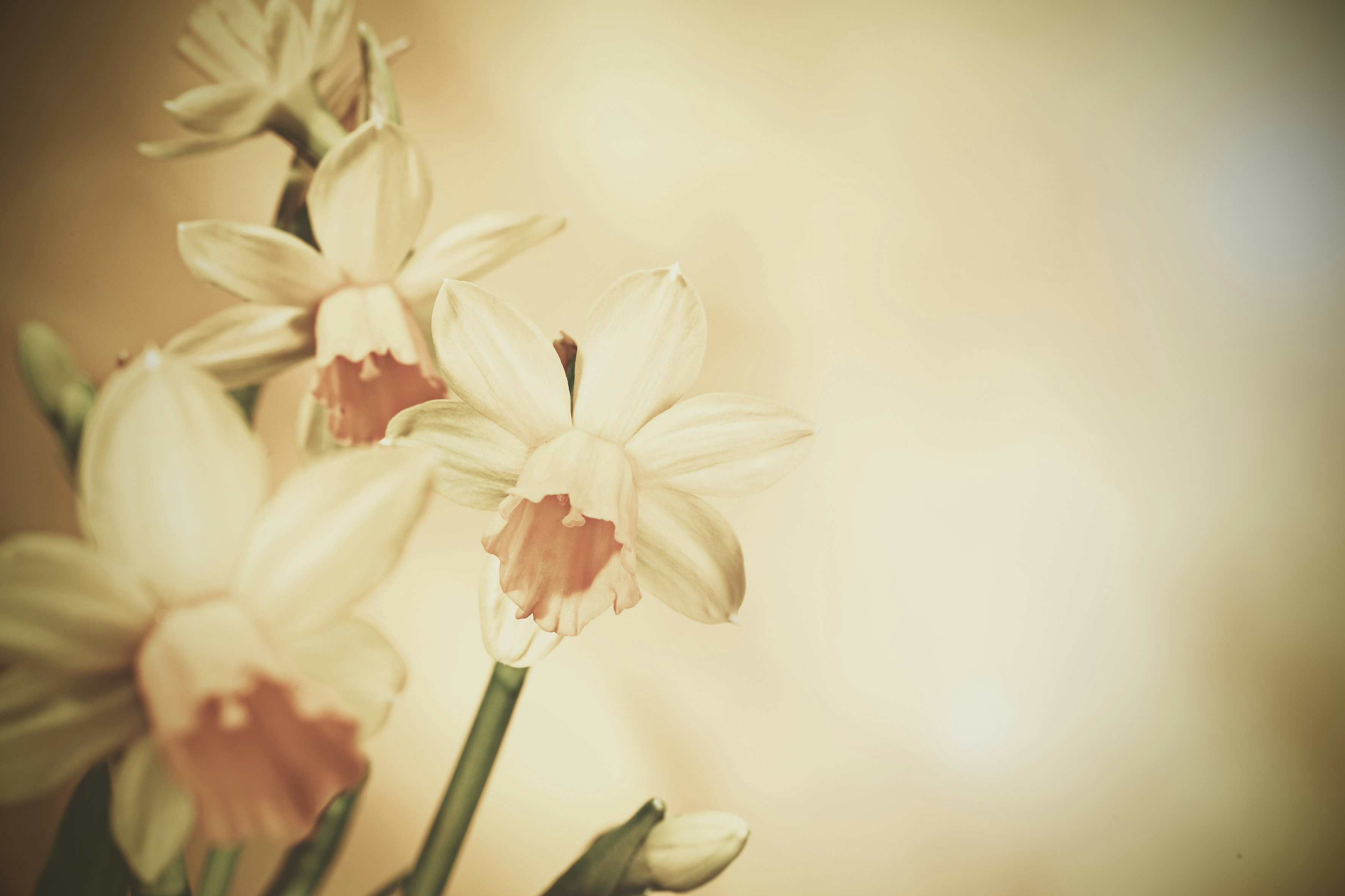 Photo by quadratmedia