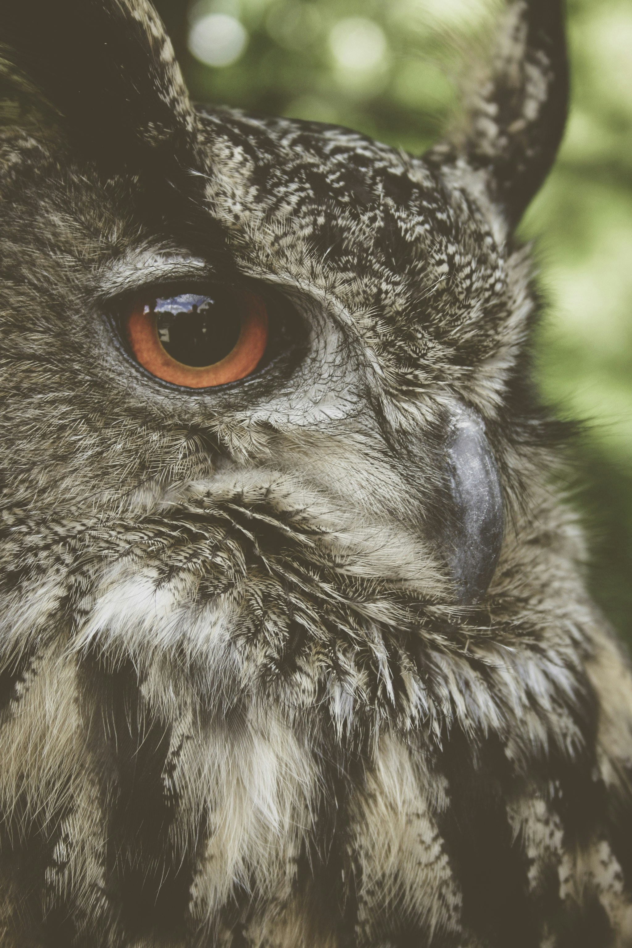 Photo by quadratmedia