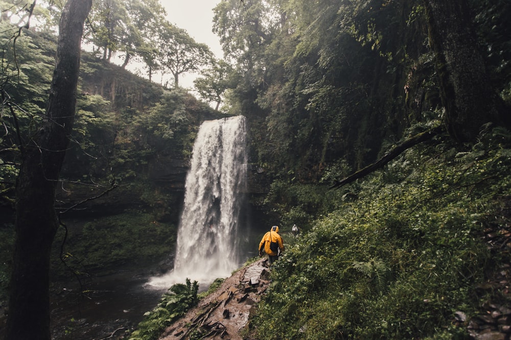 personne marchant à côté de chutes d’eau entourées d’arbres