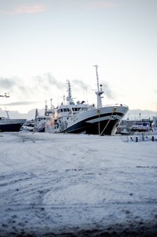 Several large ships are moored at a snowy dockside, with smoke billowing from the stacks, suggesting active engines. The scene captures a cold and overcast atmosphere with muted light enhancing the icy environment.
