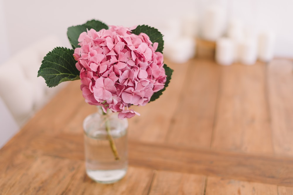 pink petaled flower