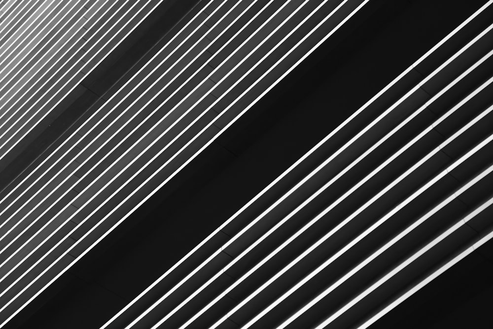 Una foto in bianco e nero di linee verticali