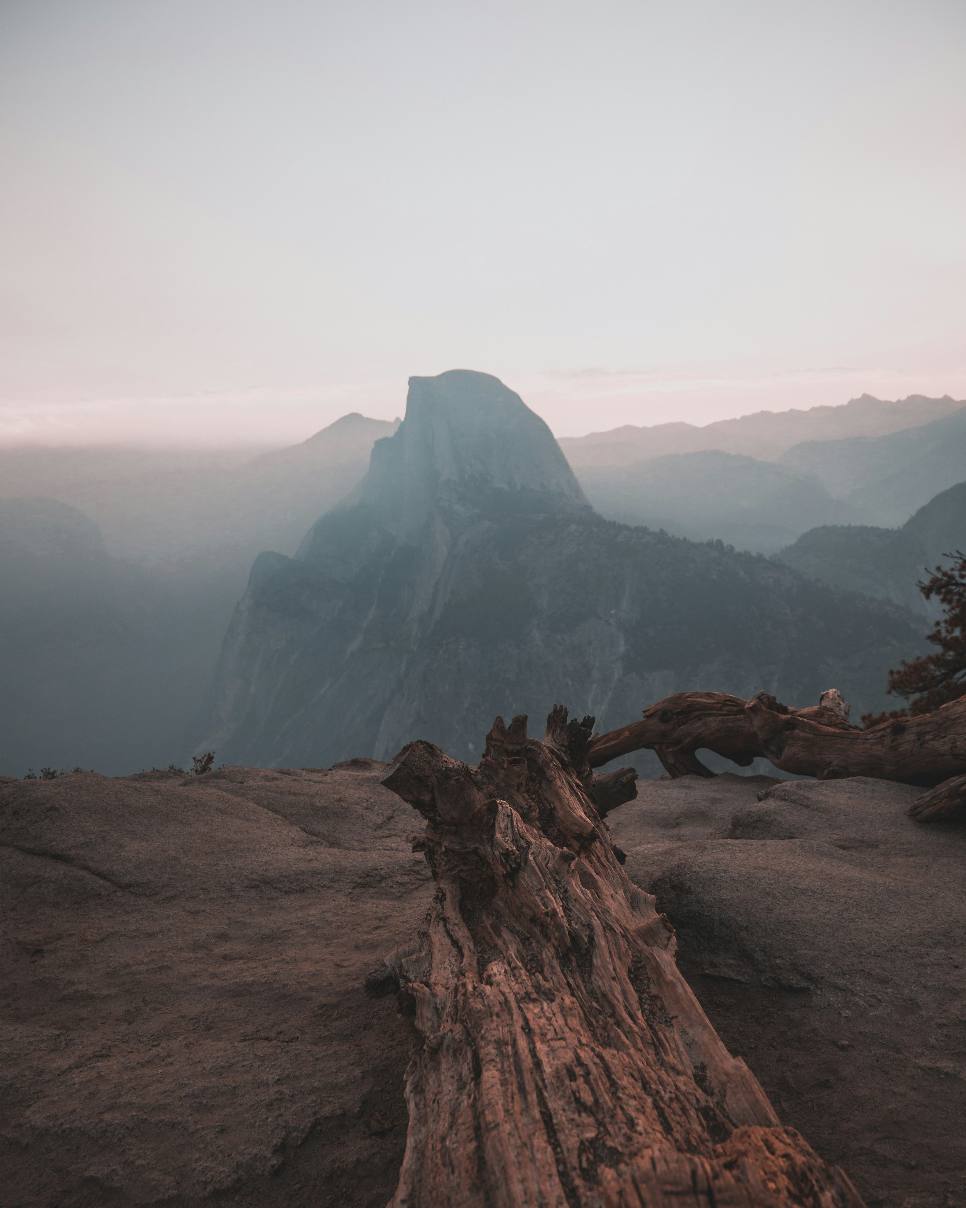 Photo by tish_harris