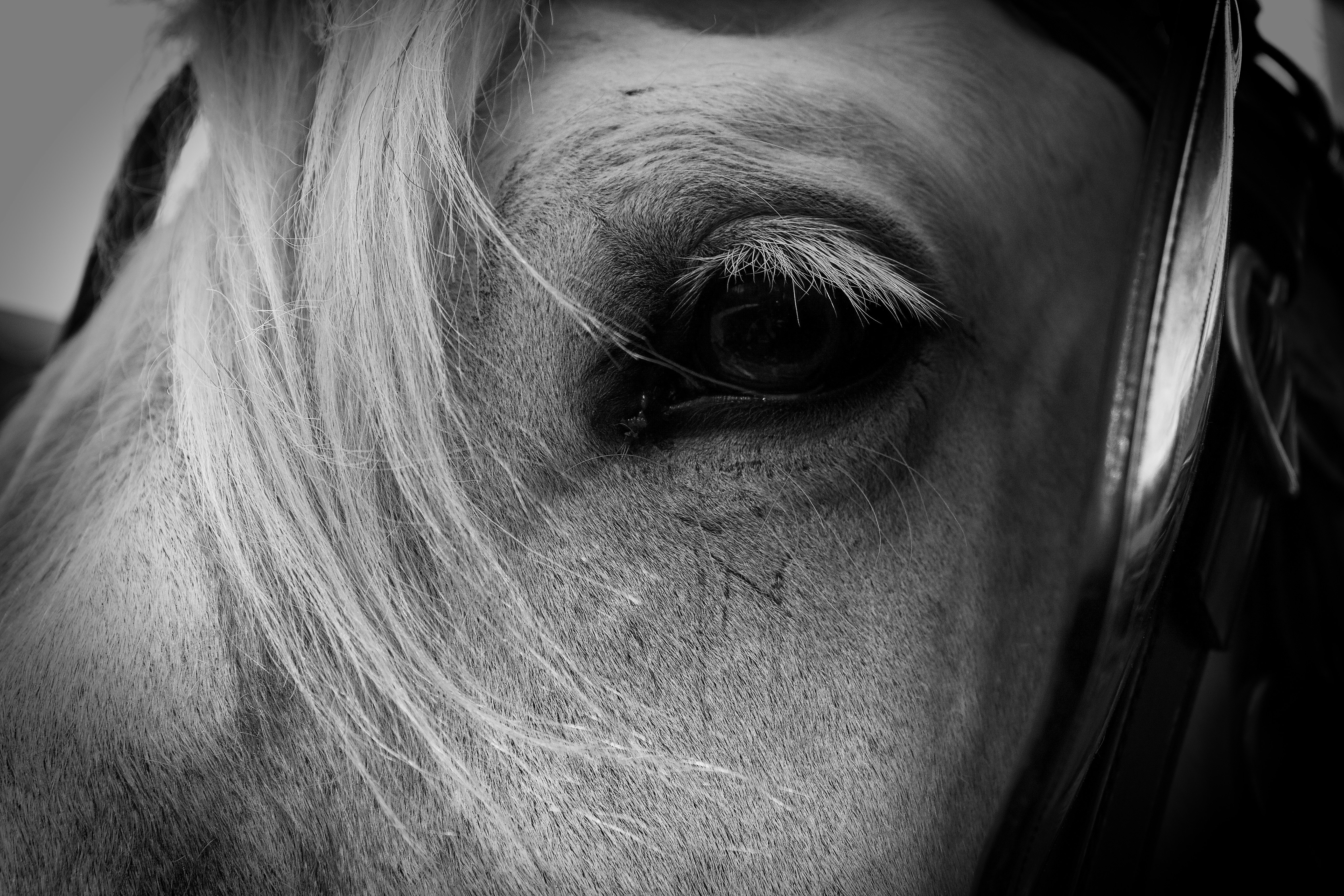 Photo by kaitduffey17