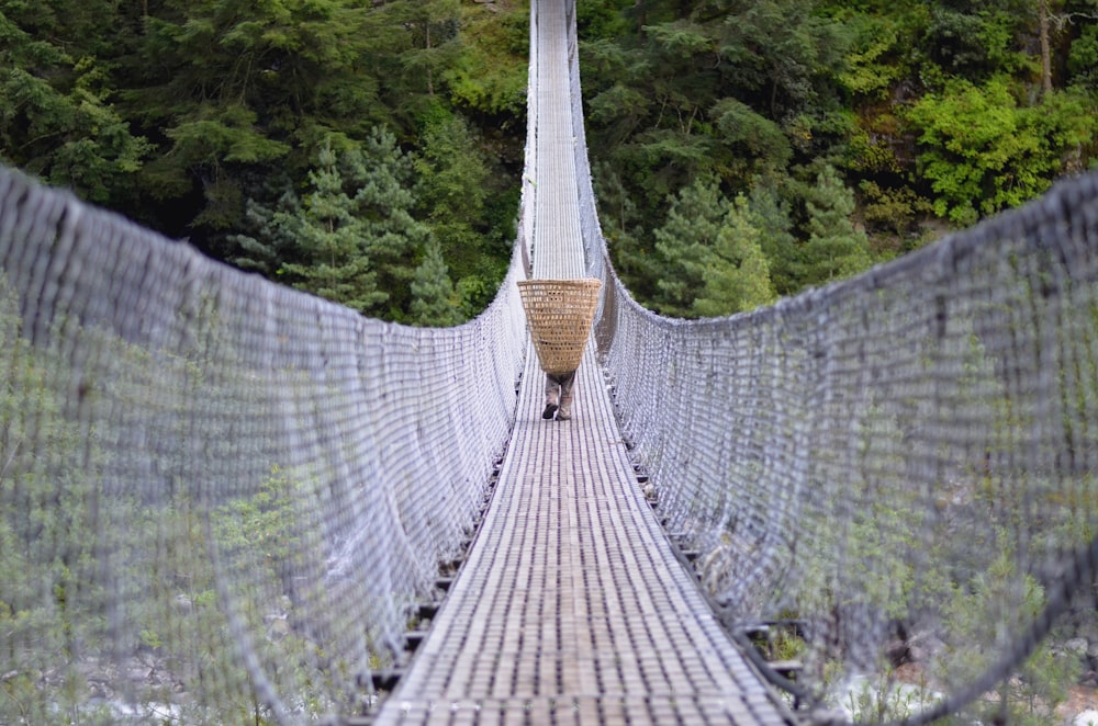 hanging bridge