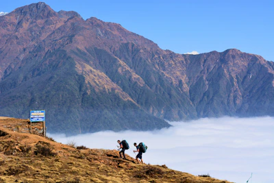 Adventurous travelers hiking on a vibrant mountain trail with panoramic views