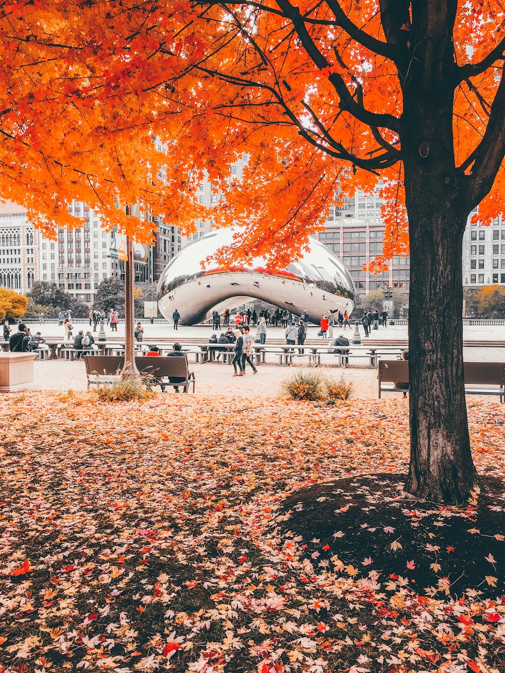 orange leafed trees near cloud gate