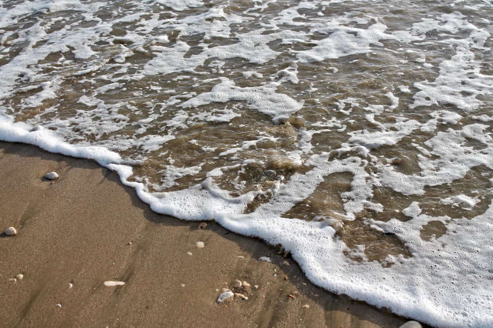 Un primer plano de una ola en una playa