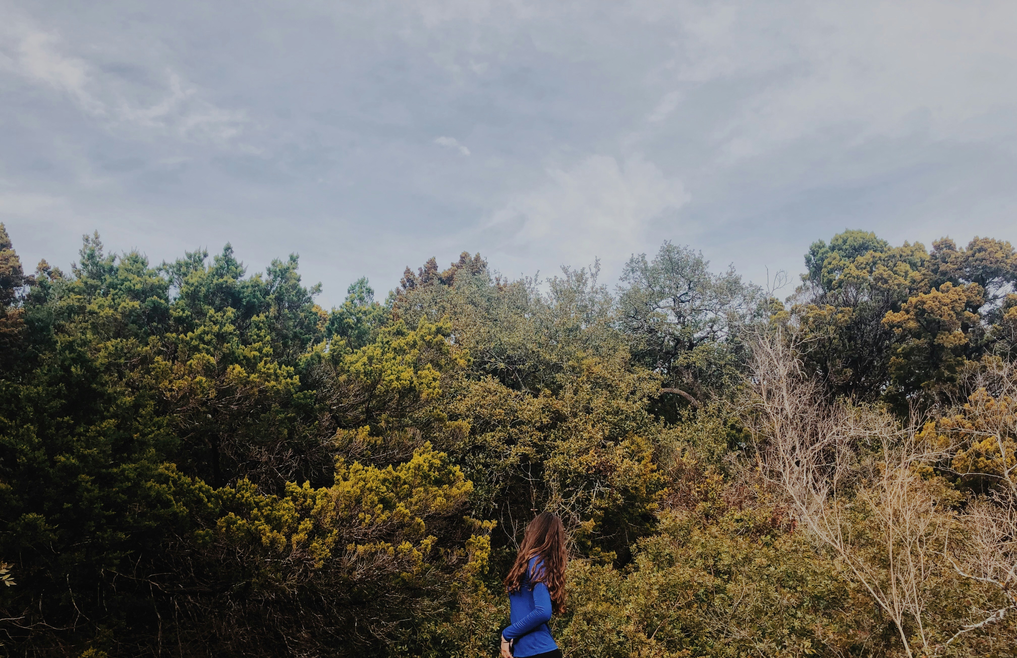 Photo by mitchzamora