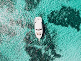 white yacht on body of water