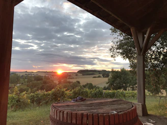 A cozy vineyard landscape in Burgundy with sunlit grapevines and a rustic wine barrel.