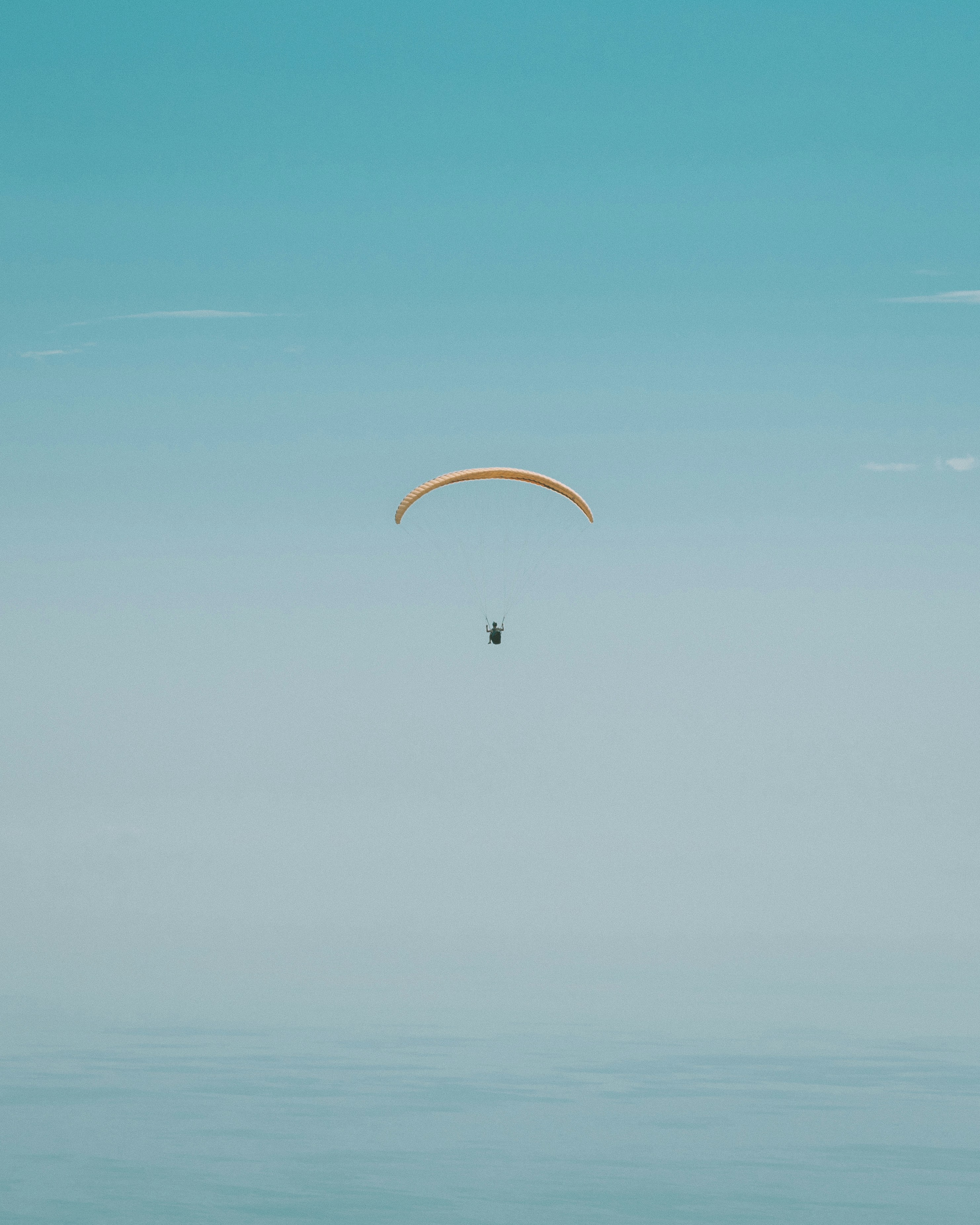 person paragliding photography