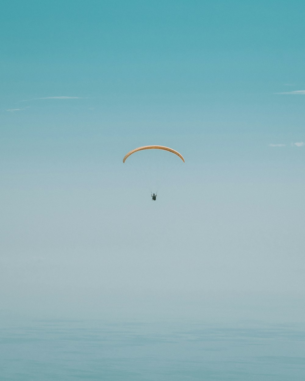 person paragliding photography