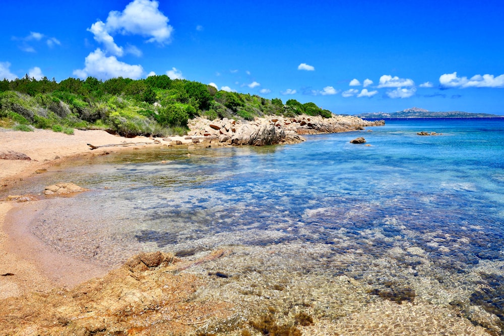 a beach with clear blue water surrounded by trees