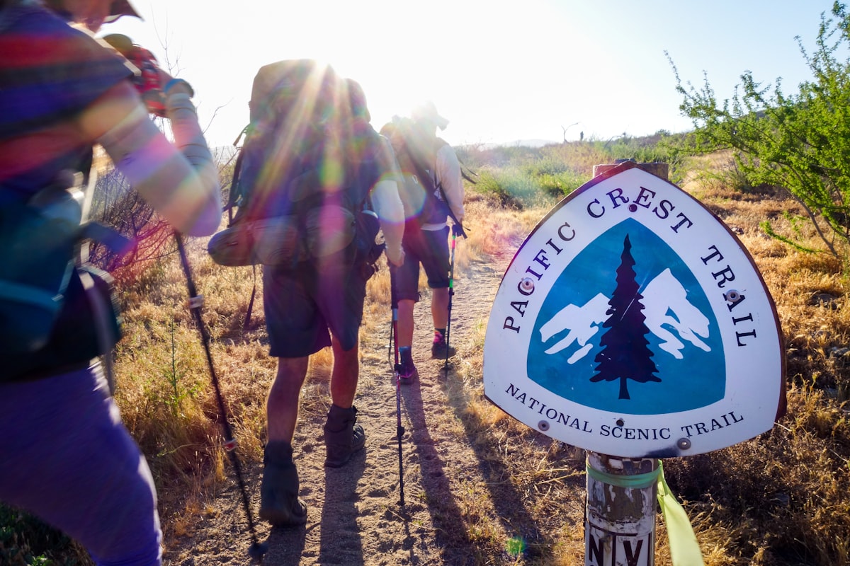 Backlit hikers with trekking poles walking past a Pacific Crest Trail emblem sign through dry scrub