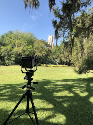 The image features a clear blue sky with a striking, tall tower in the background, partially surrounded by lush greenery. In the foreground, there is a camera mounted on a tripod standing on a well-manicured lawn. The scene is framed by trees with hanging moss, adding to the natural aesthetic.