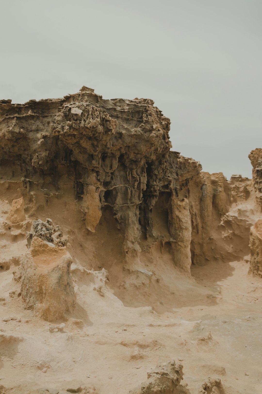 photo of Petrified Forest Cliff near Cape Nelson Lighthouse