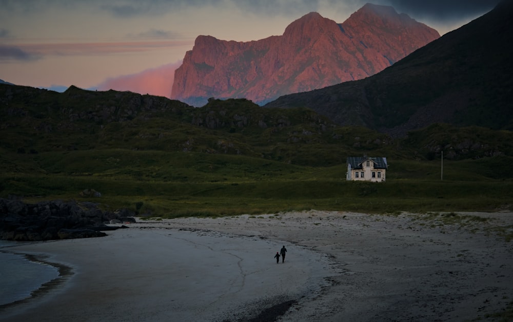 person and child walking on seashore