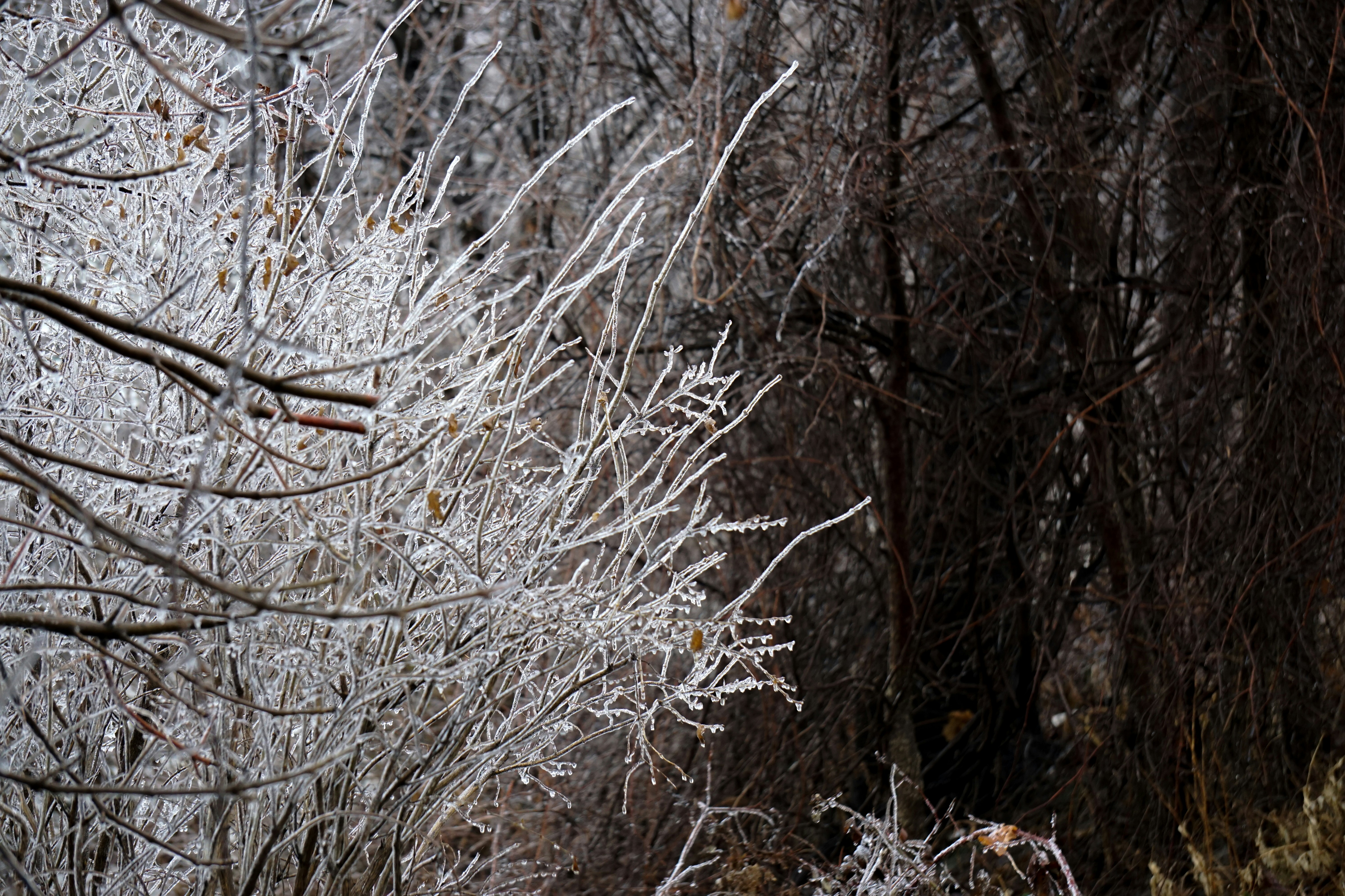 Photo by kent_pilcher