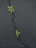 Small green plants grow through cracks in a dark asphalt surface, illustrating resilience and life emerging in an unexpected environment.