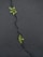 Small green plants grow through cracks in a dark asphalt surface, illustrating resilience and life emerging in an unexpected environment.