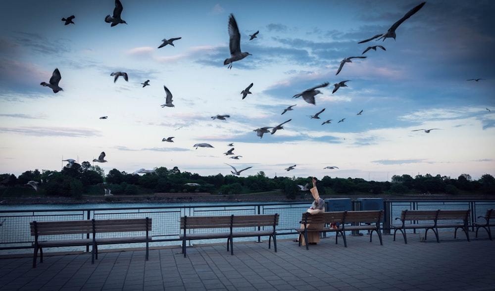 view of a river with benches