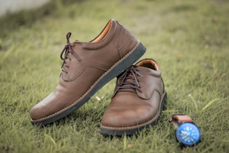 Two brown leather shoes are placed on green grass, with one shoe resting on top of the other. A brown watch with a blue face lies beside them, adding a touch of contrast.