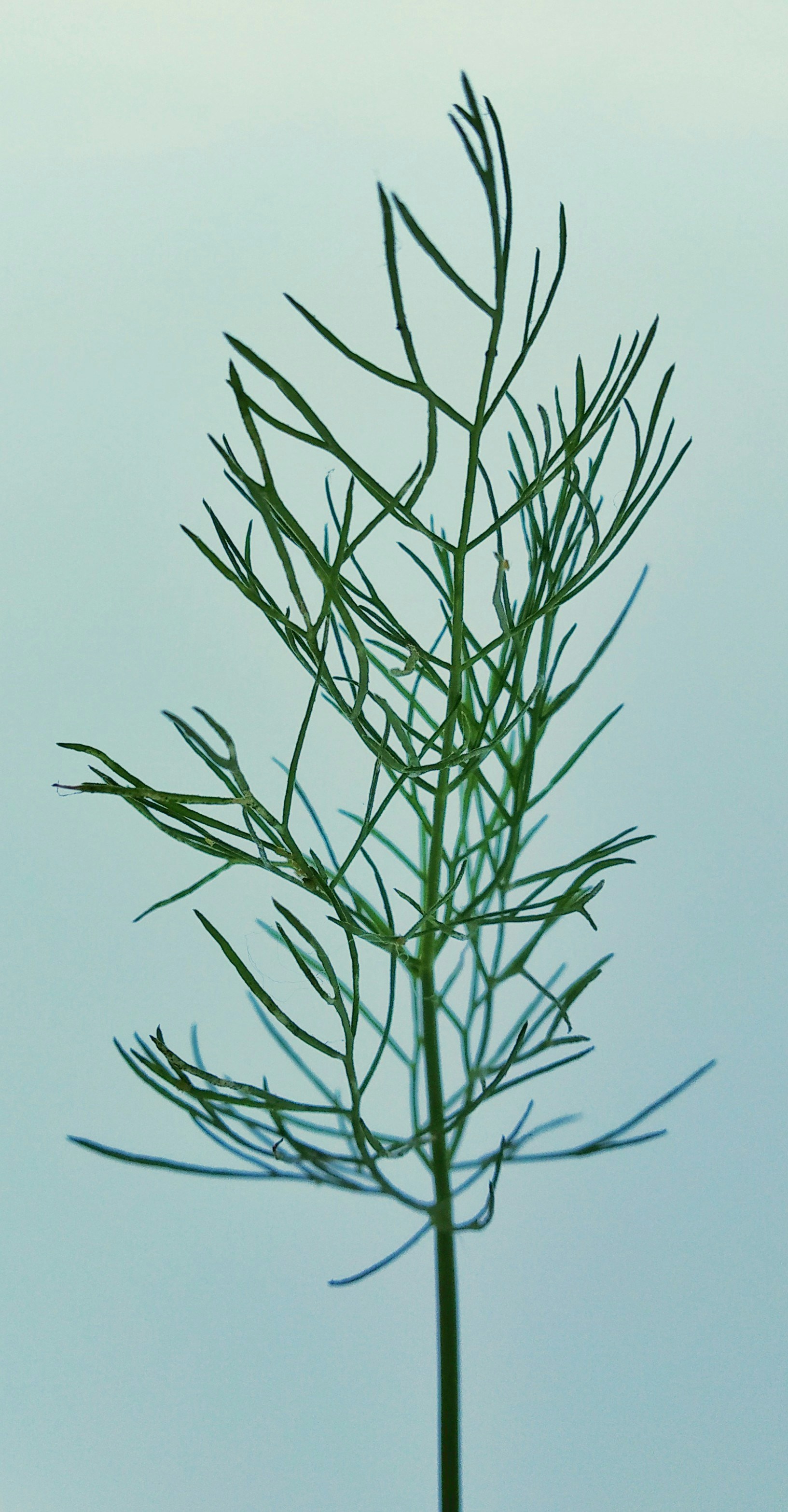 Photo by maunil_patel