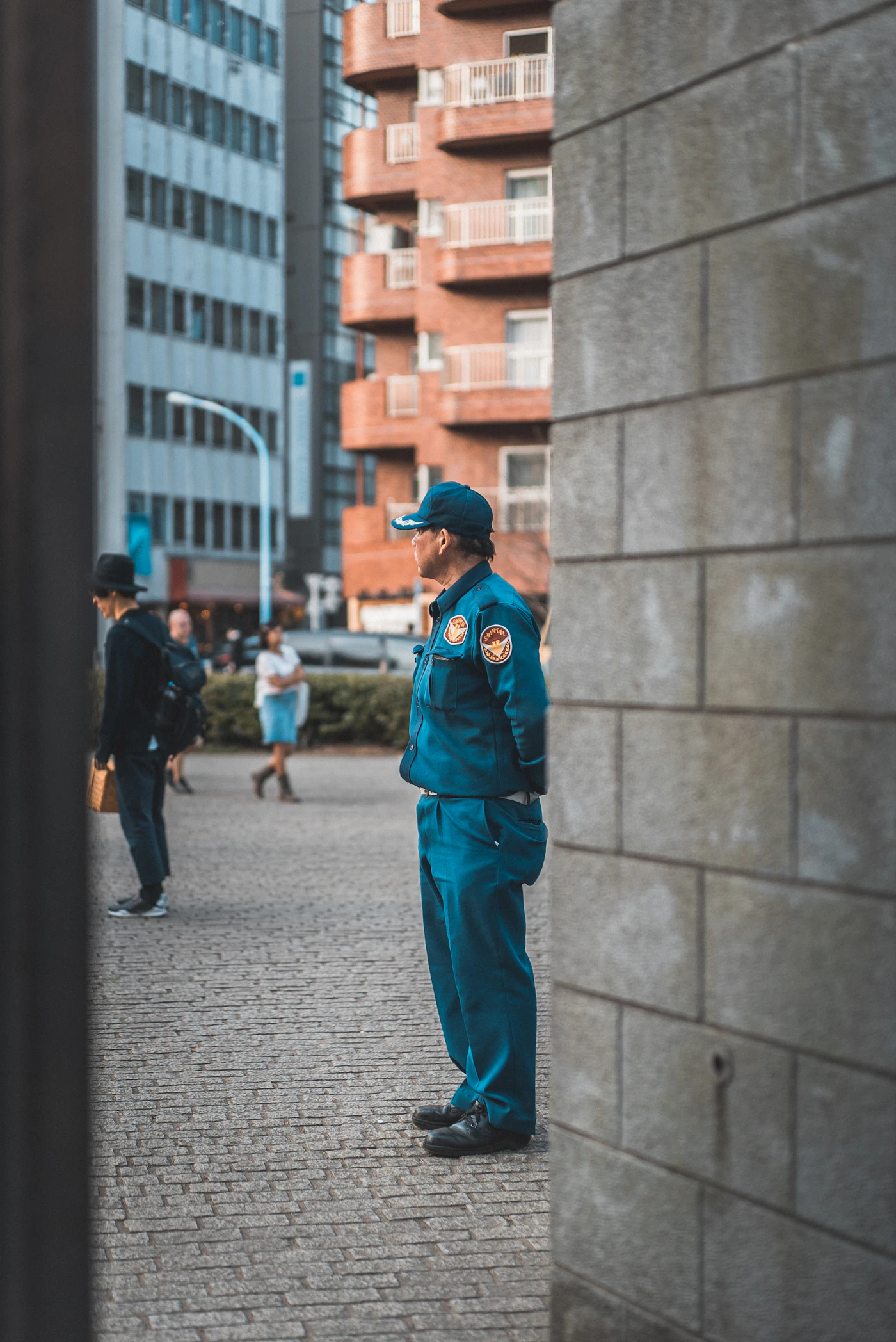 Institutional security guard