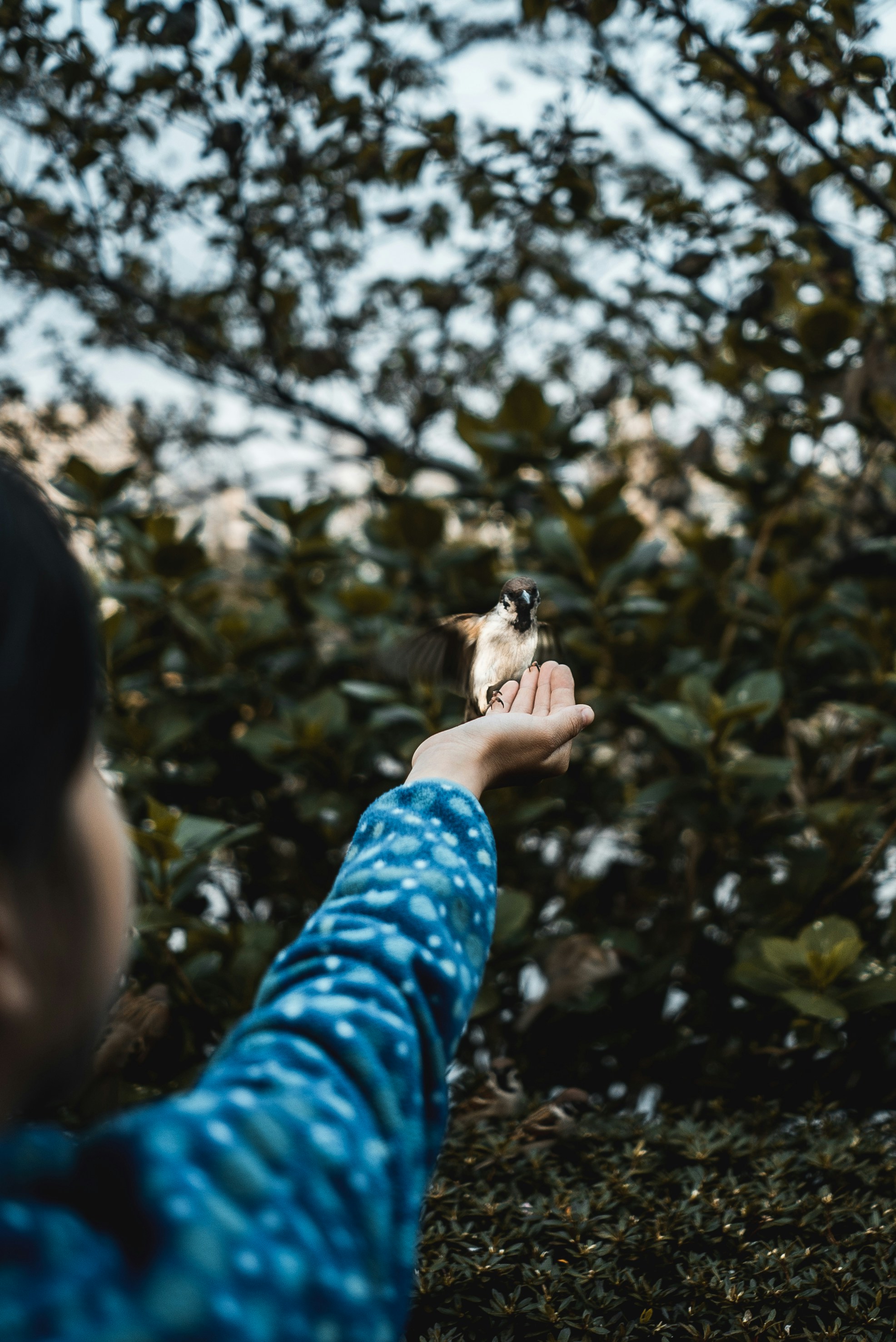 Photo by reddfrancisco