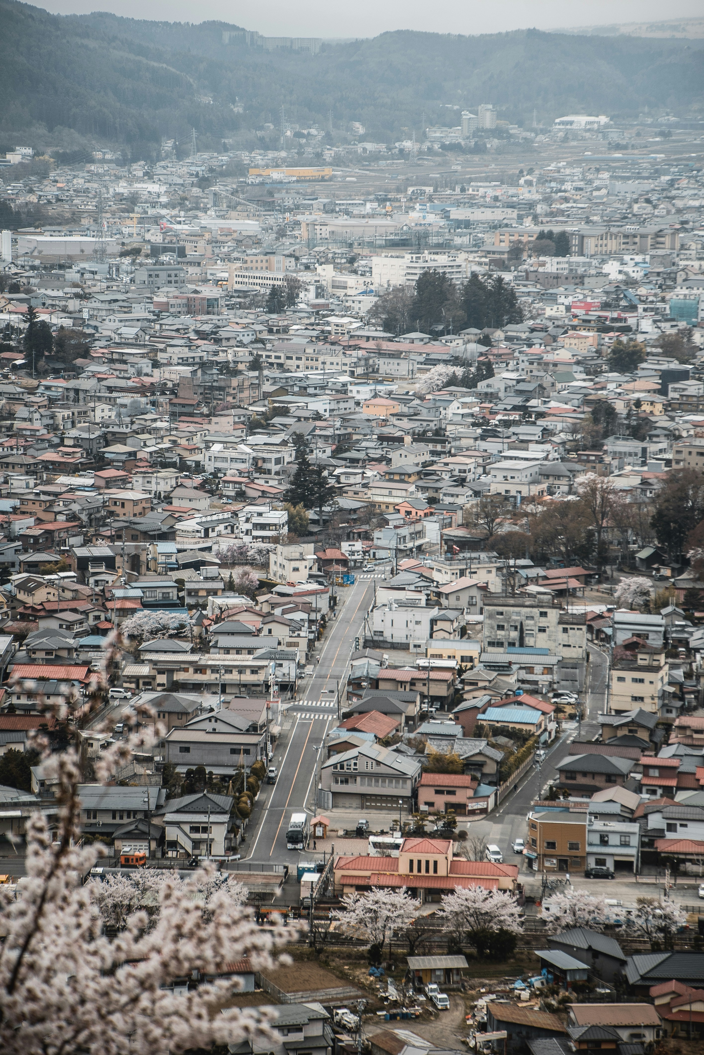 Photo by reddfrancisco