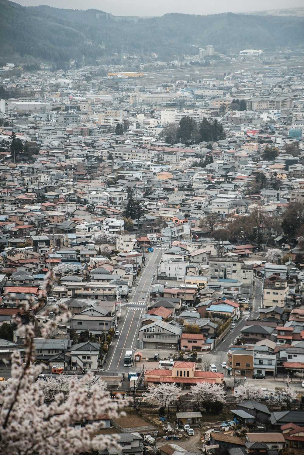 view of city skyline during daytime