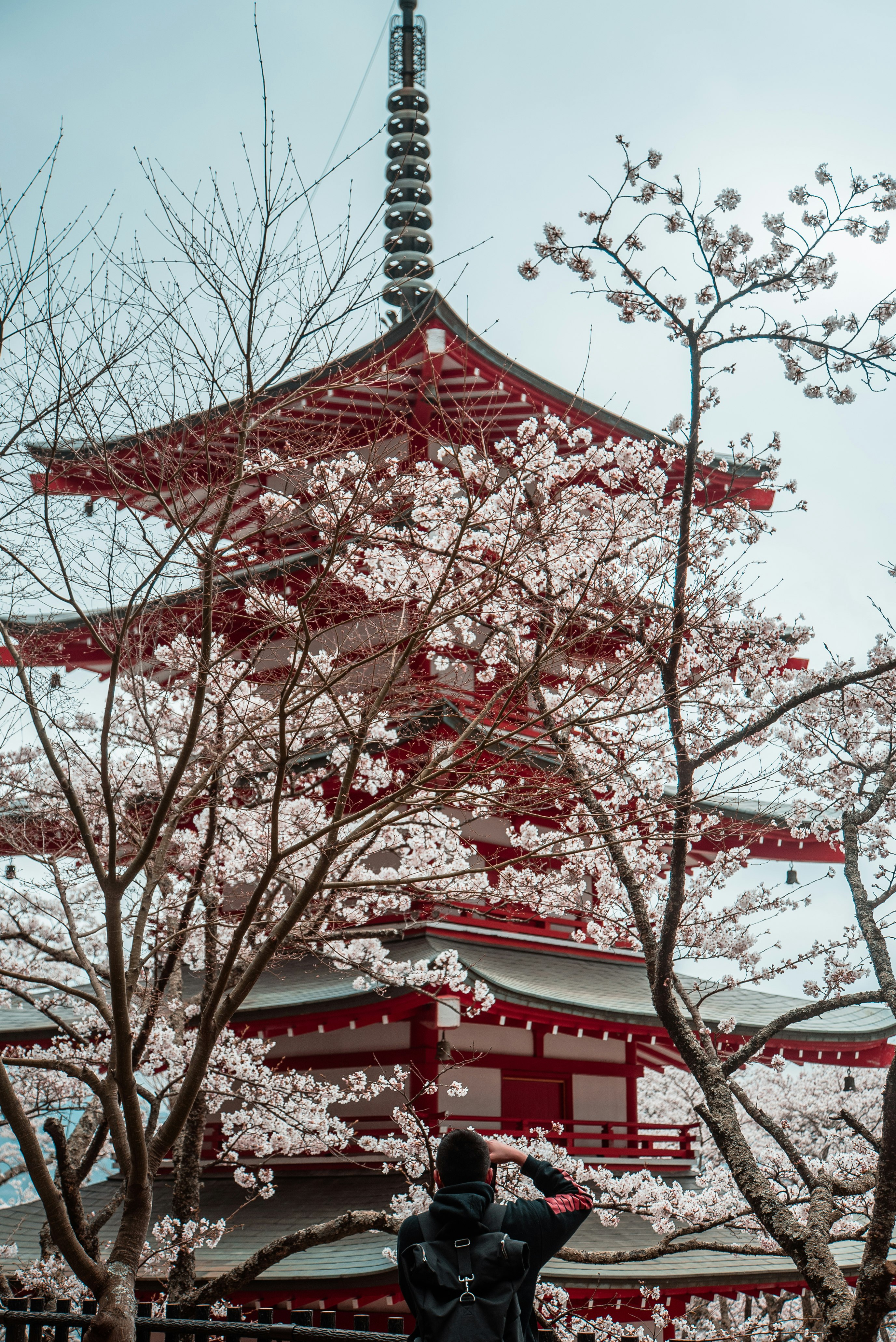 red and white Japanese temple