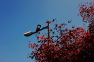An outdoor security camera mounted on a porch, capturing a clear view of the front yard.