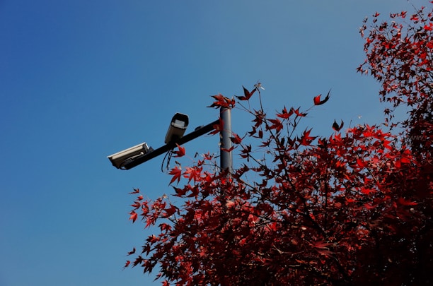 A bright outdoor solar security camera mounted on a home surrounded by greenery under a clear sky.