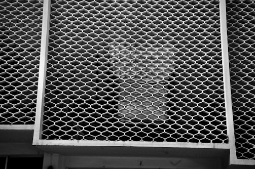 A metal grid with a honeycomb pattern covers a window, casting intricate shadows. The structure is framed by squared edges, and the overall appearance is monotonous due to the limited color range.