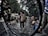 A bustling street market scene featuring people engaging in various activities, such as selling and buying goods. The street is lined with tall trees providing shade, and several individuals are carrying large woven baskets. Cars are parked along the pavement, and the atmosphere appears lively and dynamic.