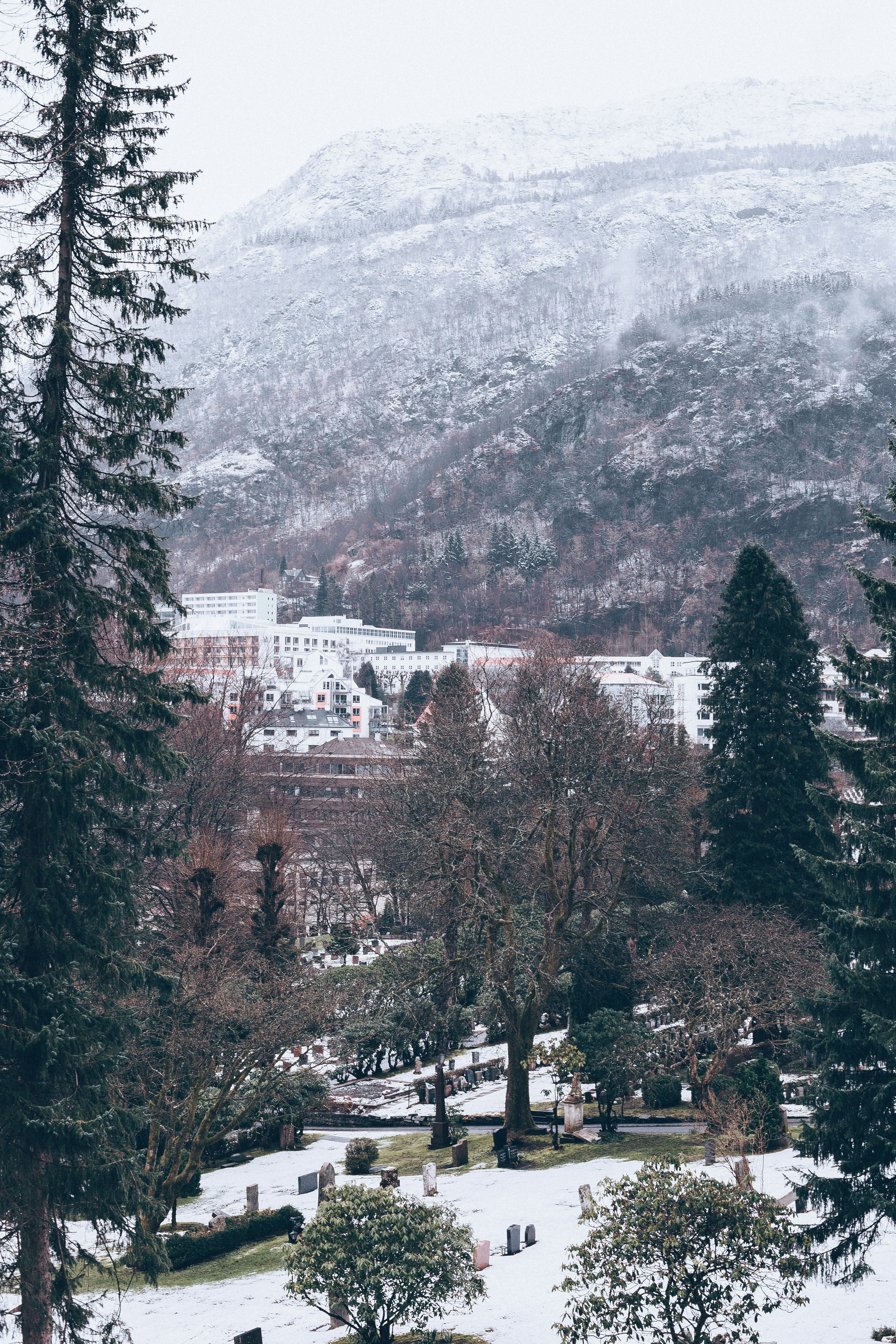 Photo by florenciaviadana