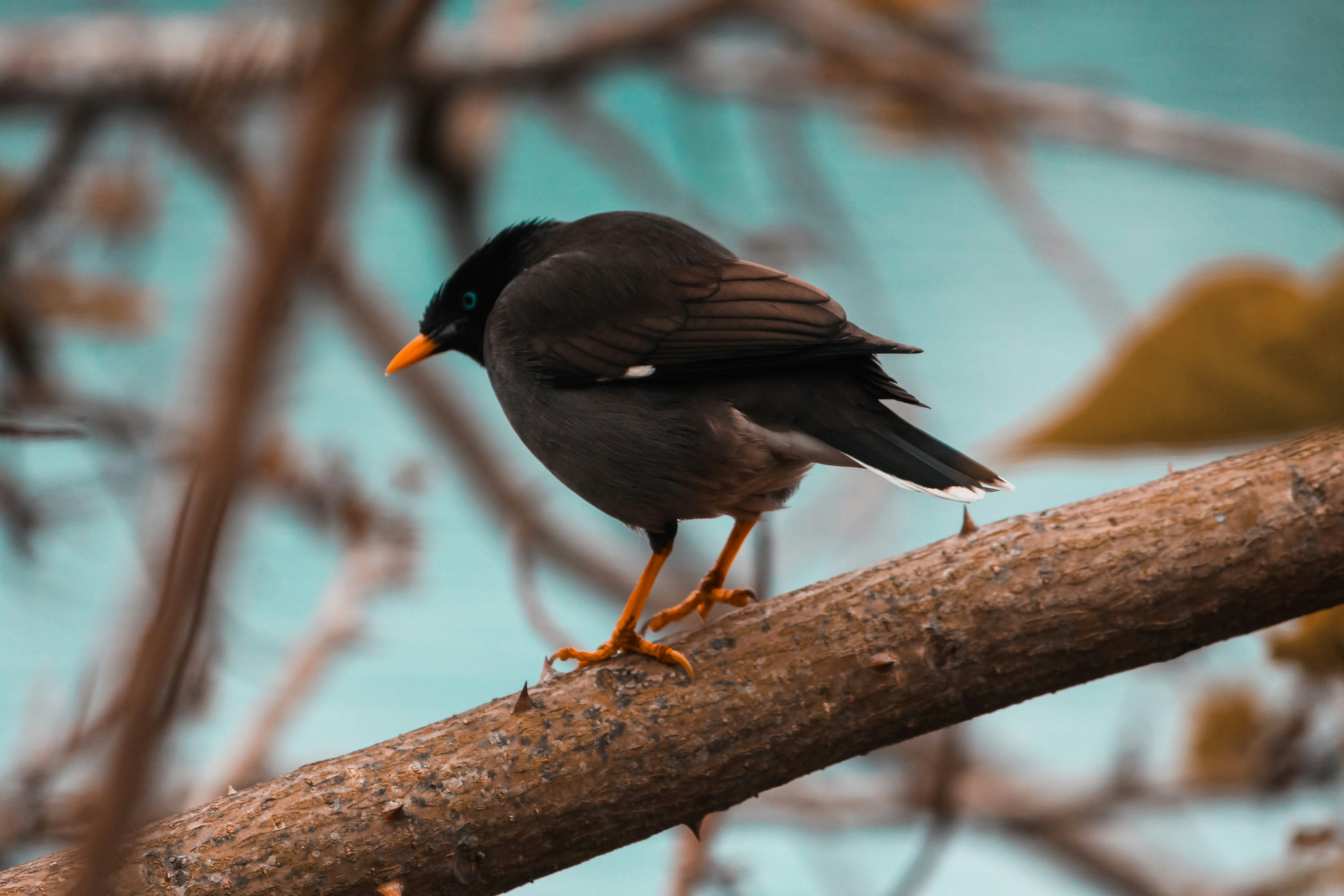 Photo by oldcitysaintt