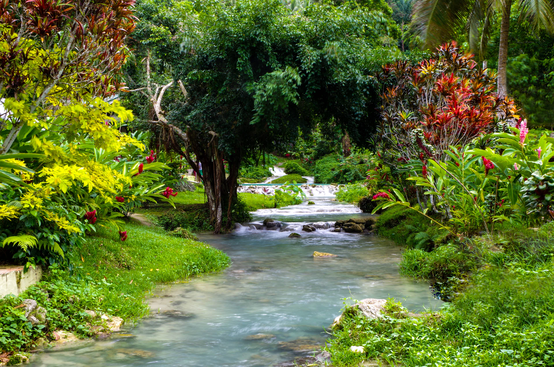 green grass and trees