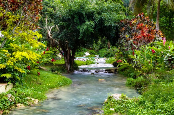 Exploring Vanuatu's Authentic Cuisine: Dishes, Restaurants, and Recipes