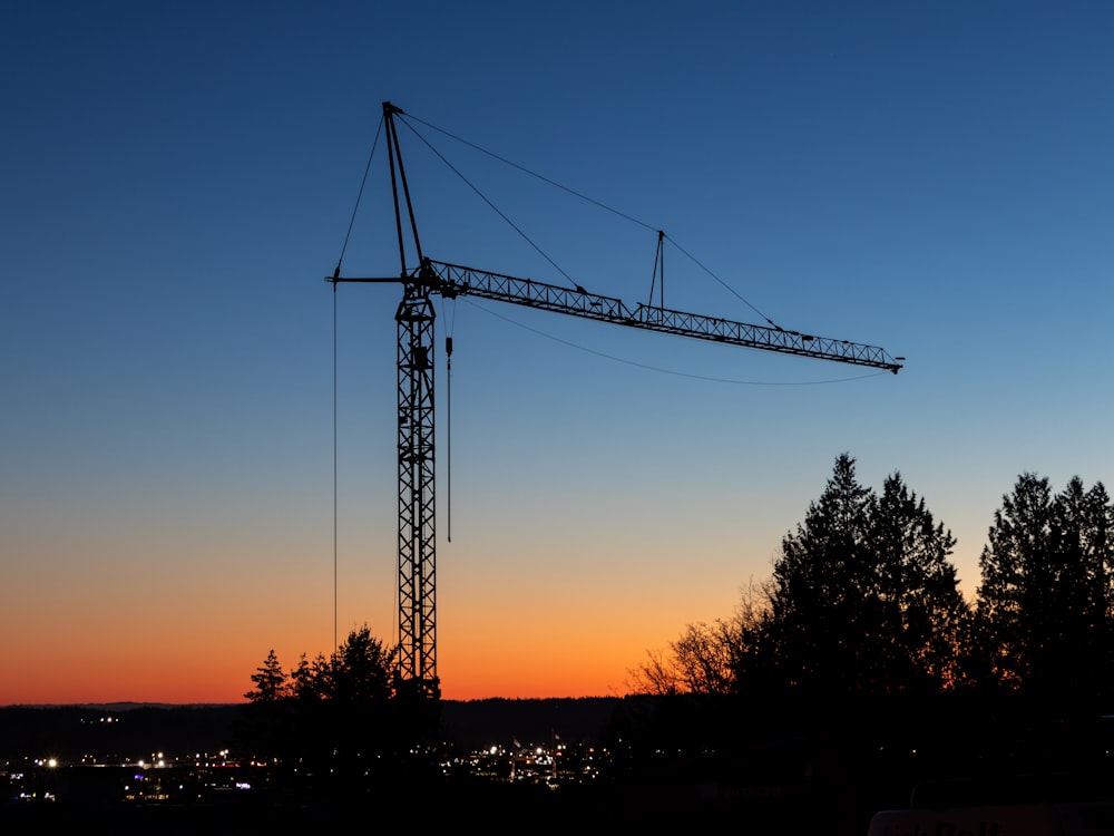 crane during golden hour