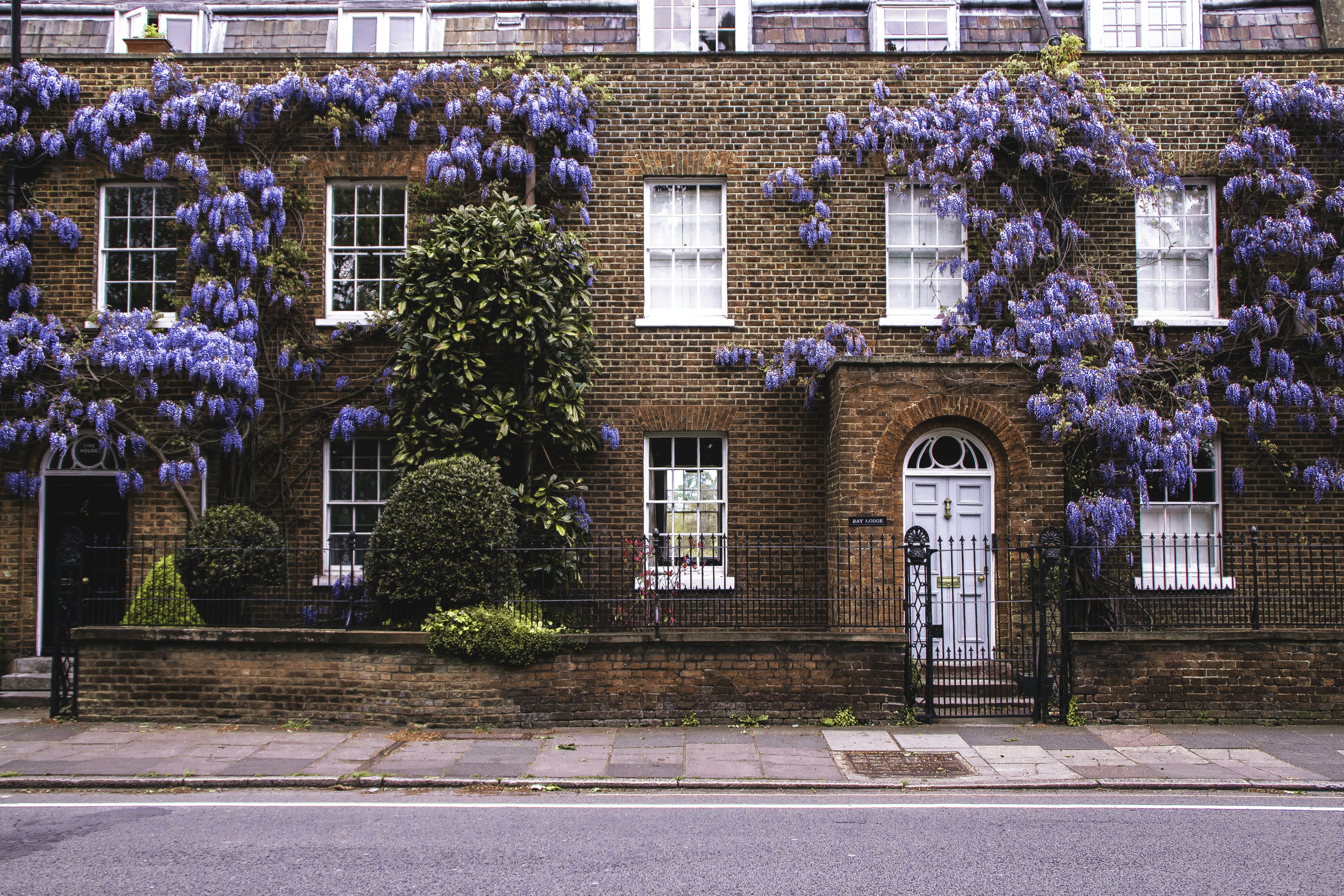 Image by Edward Howell via Unsplash