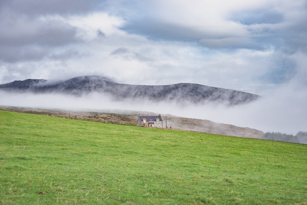 雲に覆われた山の近くの草原