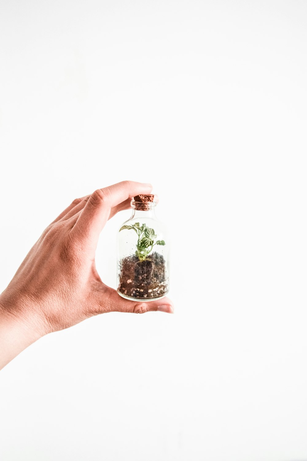 clear glass bottle on left human hand