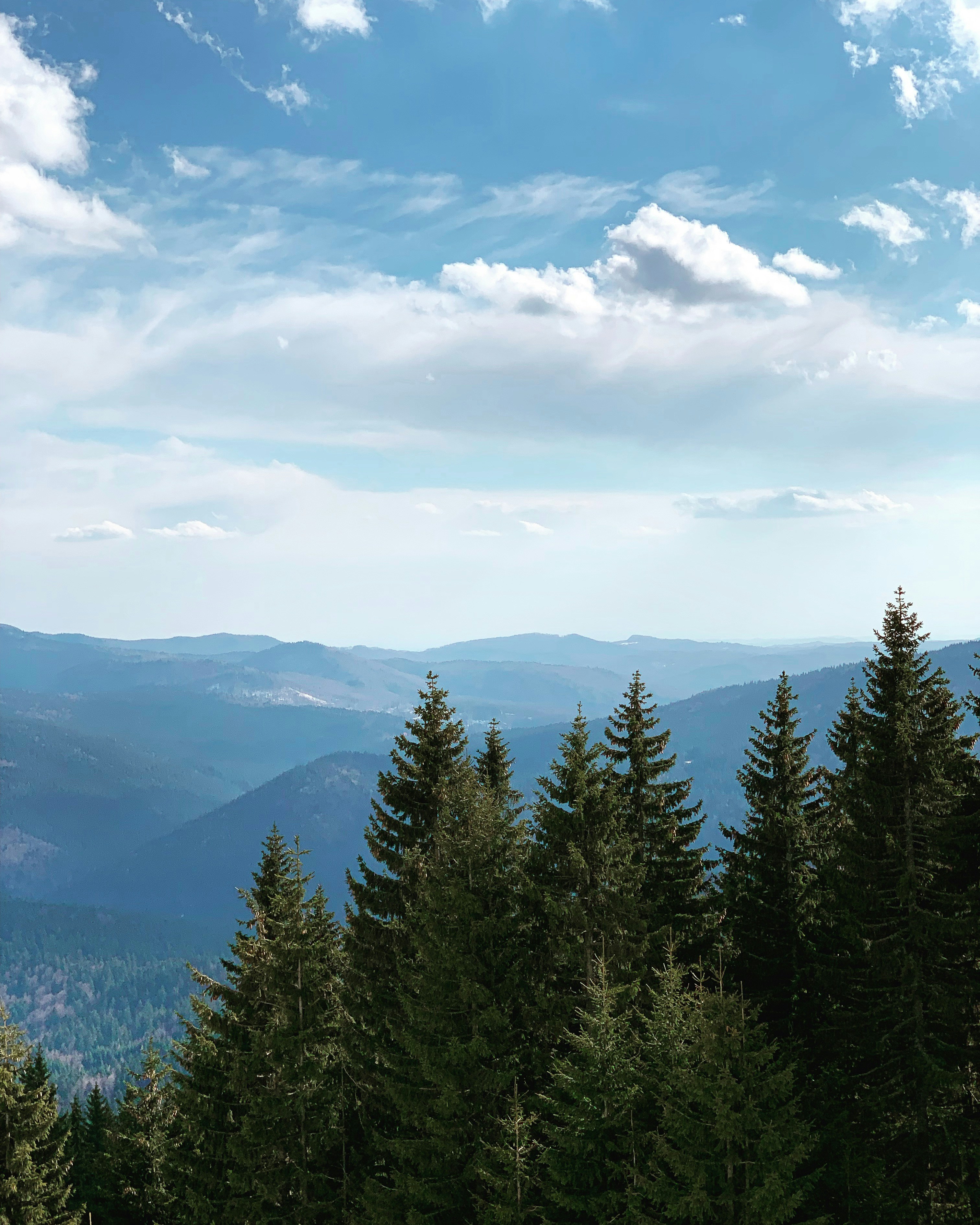 Photo by catalindumitrascu