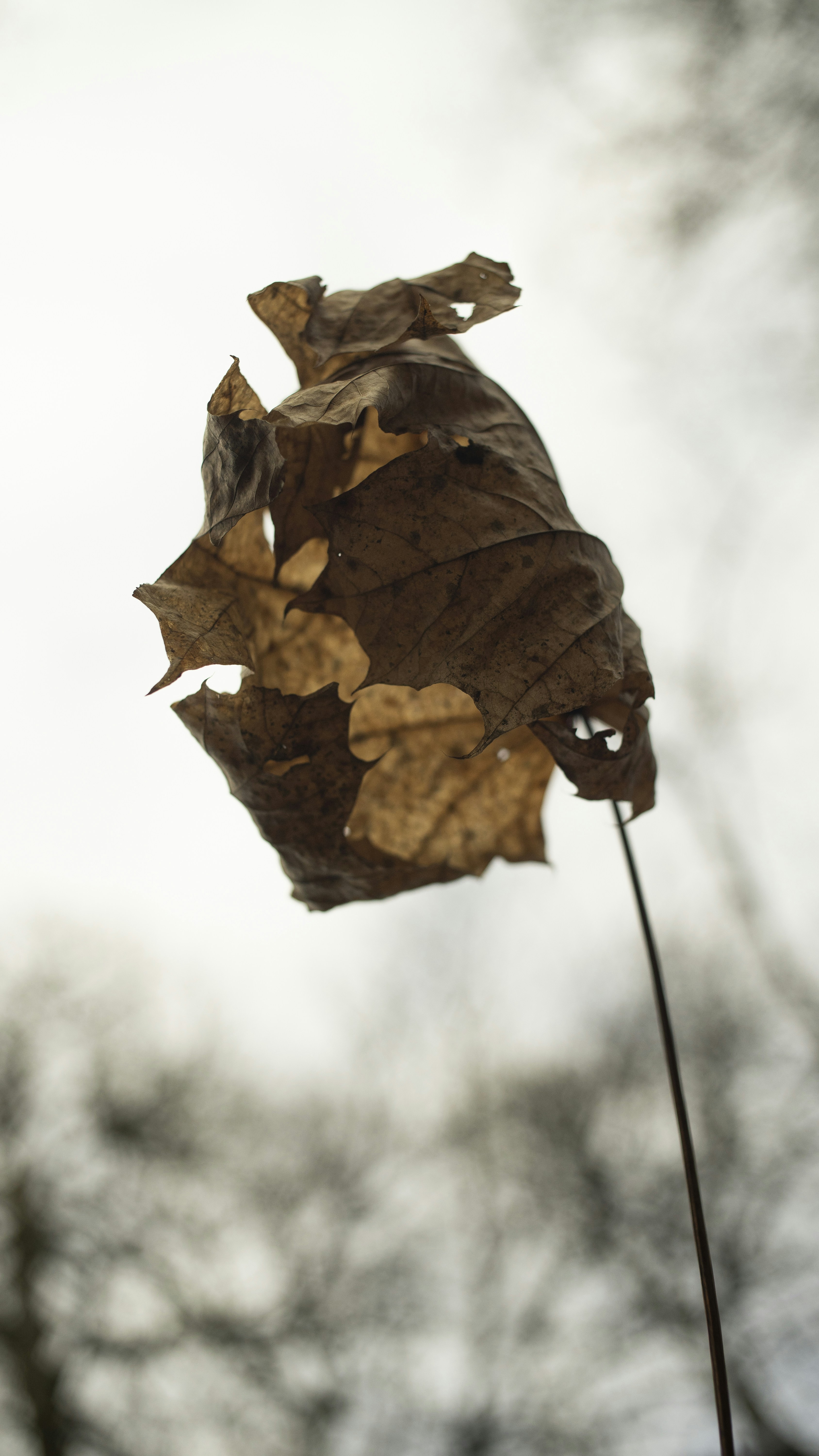 Photo by mathieustern