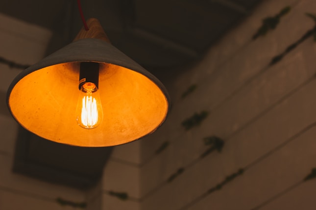 A warm, glowing light bulb encased in a conical lampshade hangs from above, casting an inviting amber hue. The background is a textured wall with some subtle greenery climbing up.