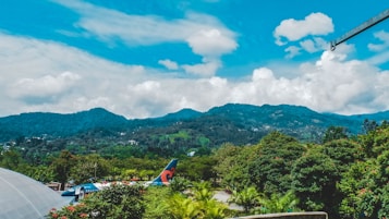 A lush landscape with dense, green foliage in the foreground, surrounded by vibrant vegetation. A mountain range can be seen in the background under a clear blue sky with scattered clouds. Portions of an airplane tail with colorful designs are visible amidst the greenery.